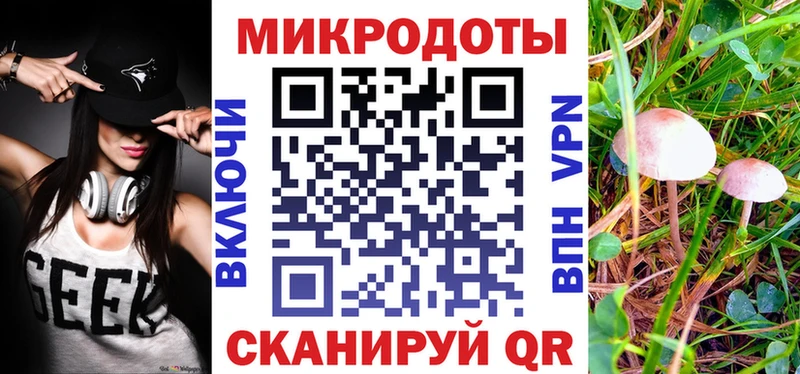 Псилоцибиновые грибы Psilocybine cubensis  что такое   Петрозаводск 
